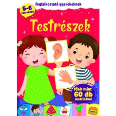 Testrészek foglalkoztató gyerekeknek