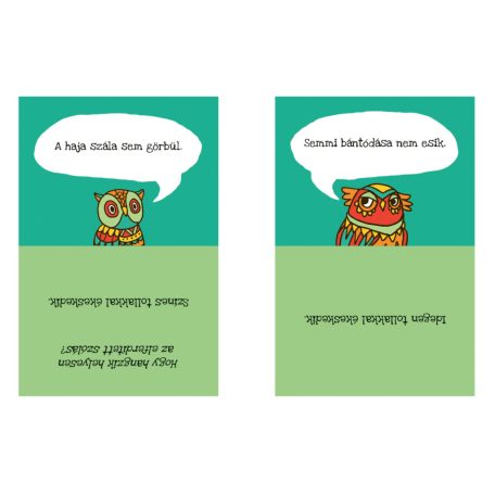 Bagoly mondja... Játékos gyakorlókártyák szólásokhoz és közmondásokhoz