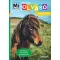 Lovak és pónik matricás szövegfejtő Mi MICSODA Olvasó
