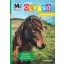 Lovak és pónik matricás szövegfejtő Mi MICSODA Olvasó