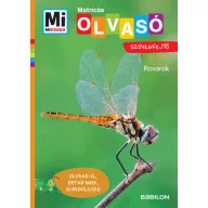 Rovarok matricás szövegfejtő Mi MICSODA Olvasó