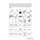 Nyelvjárástani munkafüzet